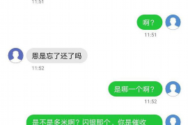 巴青专业催债公司的市场需求和前景分析