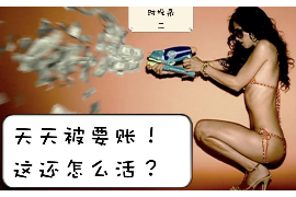 巴青巴青的要账公司在催收过程中的策略和技巧有哪些？